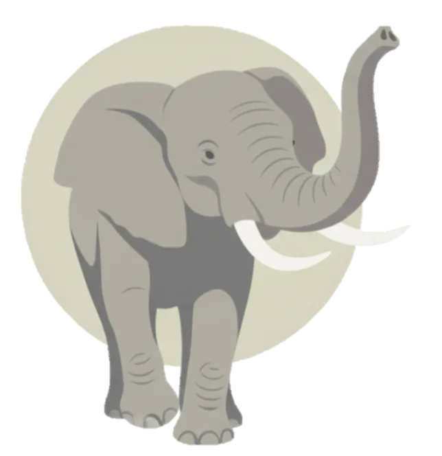 GR8 Discoveries Elephant